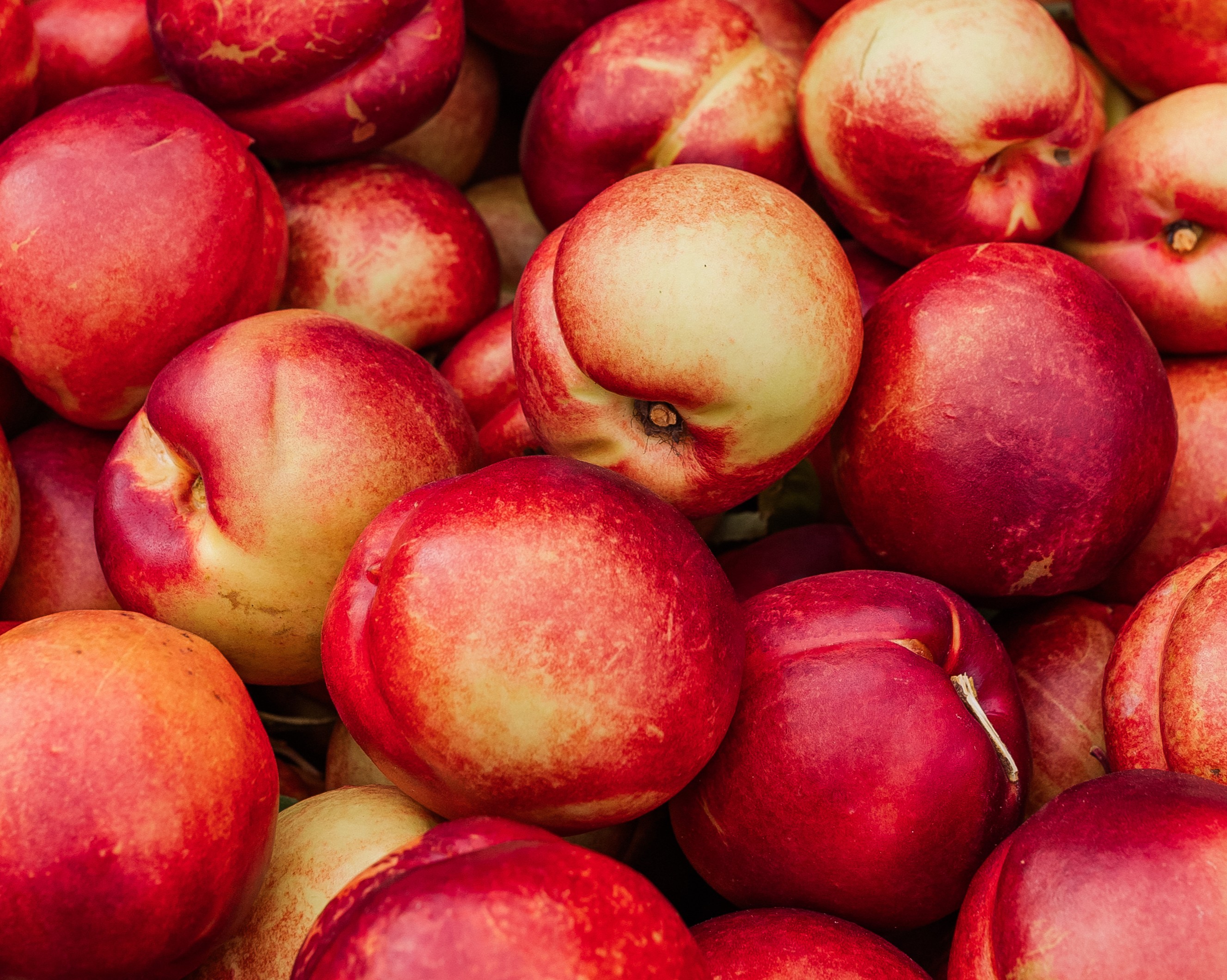 New Zealand Yellow Nectarines