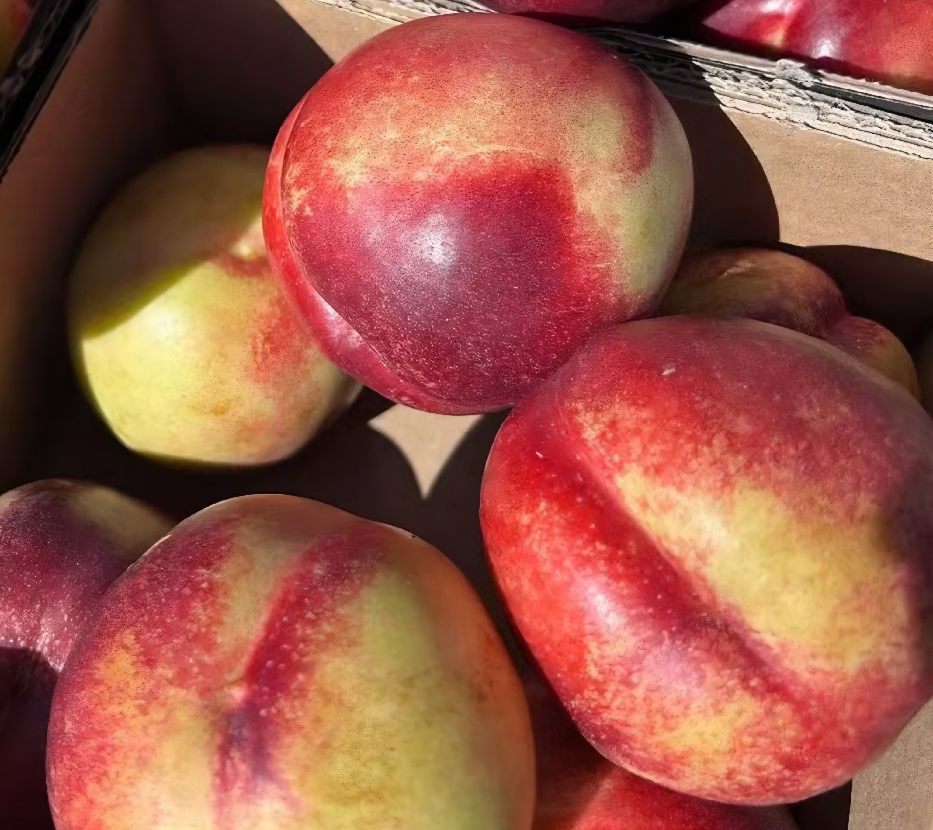 New Zealand White Nectarines